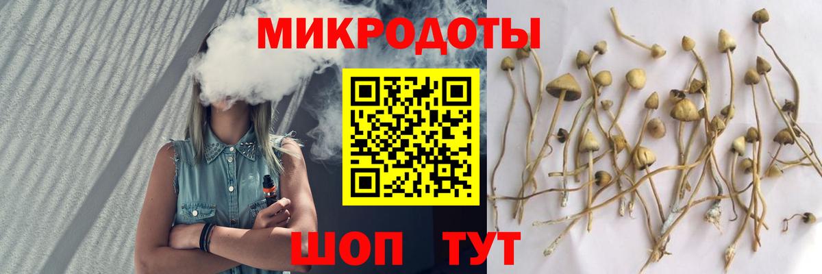 Галлюциногенные грибы Cubensis  Вход с VPN  Выкса 